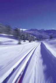Whistler Activities -  Whistler Cross Country Skiing Tours Rentals - BC Canada - Whistler Blackcomb Resort Activity Information