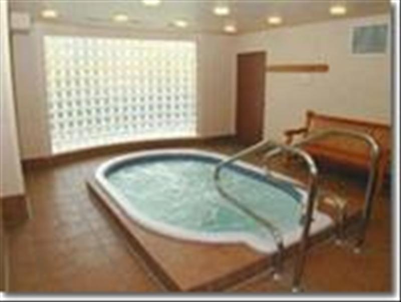 Whistler Accommodations - Shared hot tub - Rentals By Owner