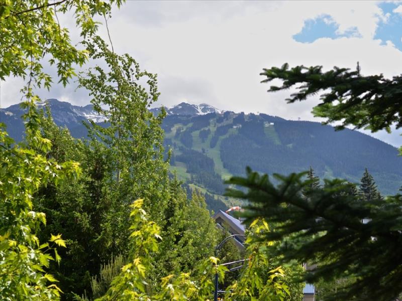 Whistler Accommodations - View of the mountains from the hot tub - Rentals By Owner