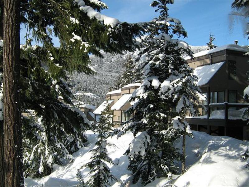 Whistler Accommodations -  - Rentals By Owner