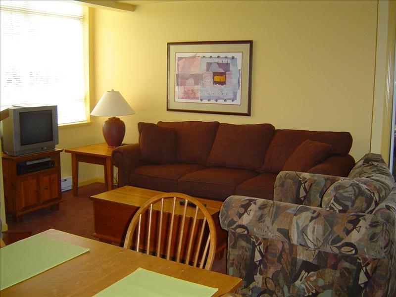 Whistler Accommodations - Living room features a television and a queen size sofa bed - Rentals By Owner
