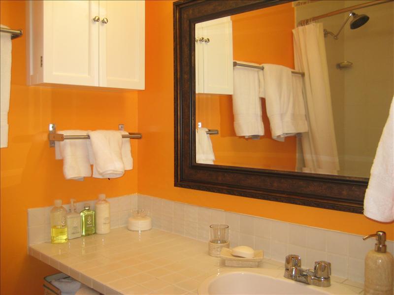 Whistler Accommodations -  - Rentals By Owner