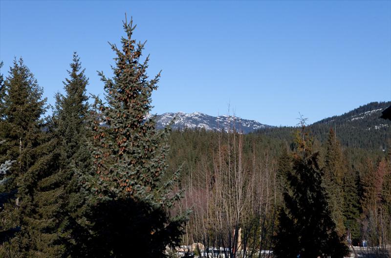 Whistler Accommodations -  - Rentals By Owner