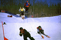 Whistler Ski School - Adult Skiercross Camps - Whistler Blackcomb Resort BC Canada