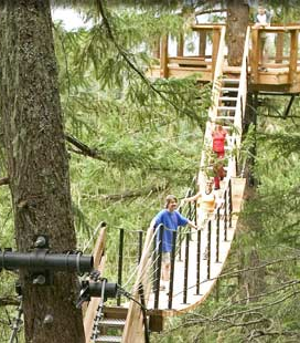 Whistler Treetop Eco Tours - BC Canada - Whistler Blackcomb Resort Treetop Canopy Tour Information