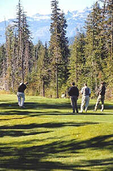 Whistler Golfing - BC Canada - Whistler Blackcomb Resort Golf Information
